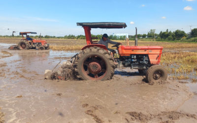 Hướng dẫn sử dụng phân bón hiệu quả